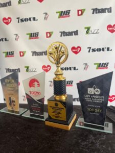 Take the Pain – Awards gewonnen