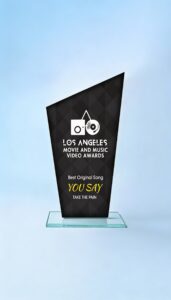 Take the Pain – Awards gewonnen