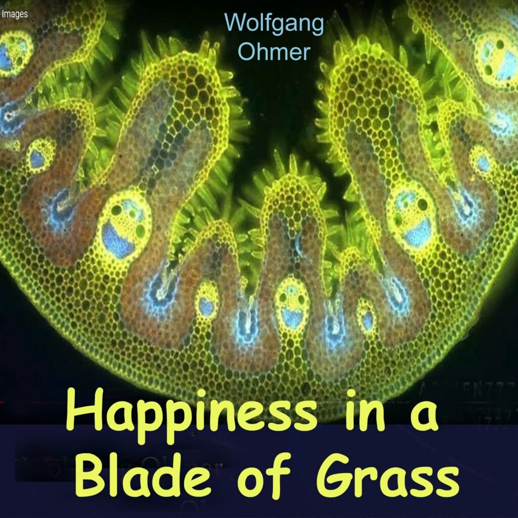 Cover von  – Wolfgang Ohmer „Happiness in a Blade of Grass“